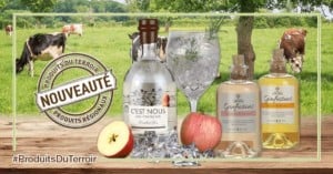 Gin artisanal de Normandie - Distillerie C'est Nous